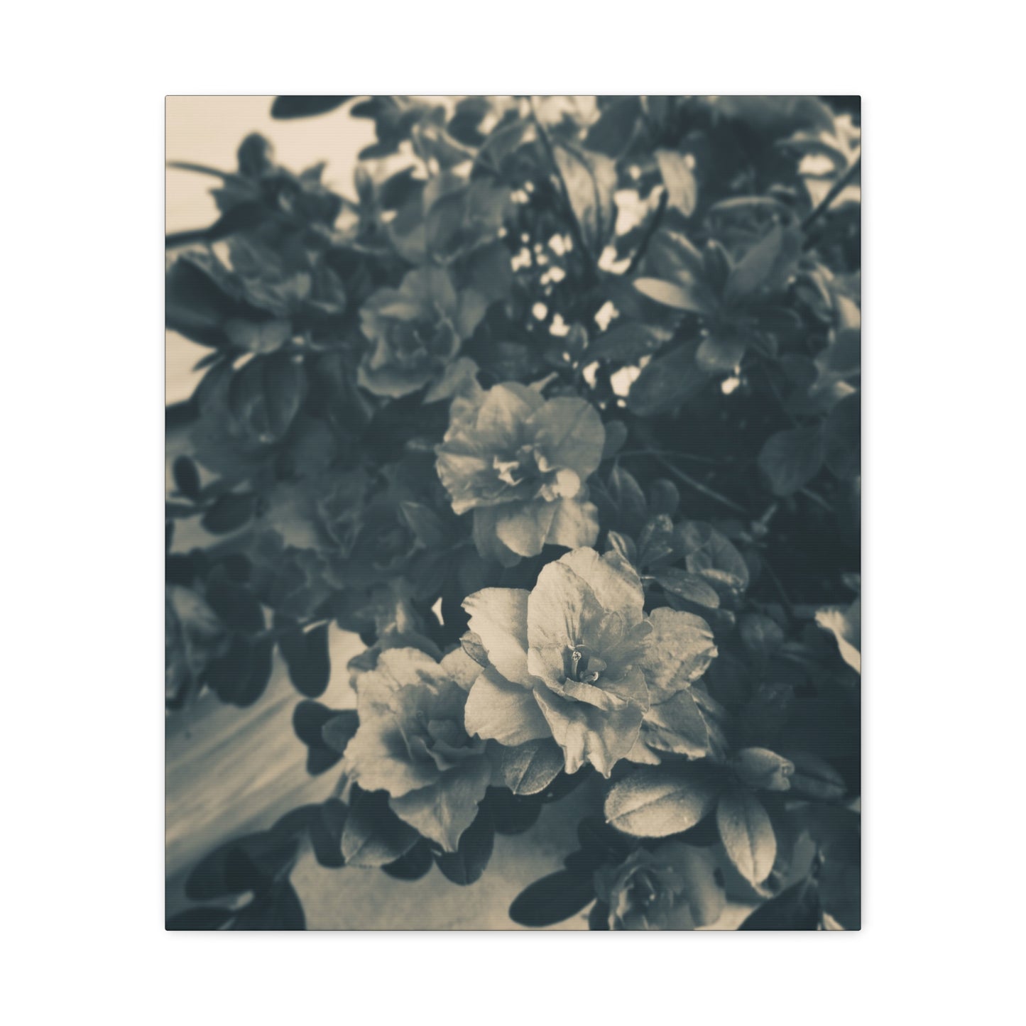 Black & White Floral Matte Canvas Art - Stretched Wall Decor