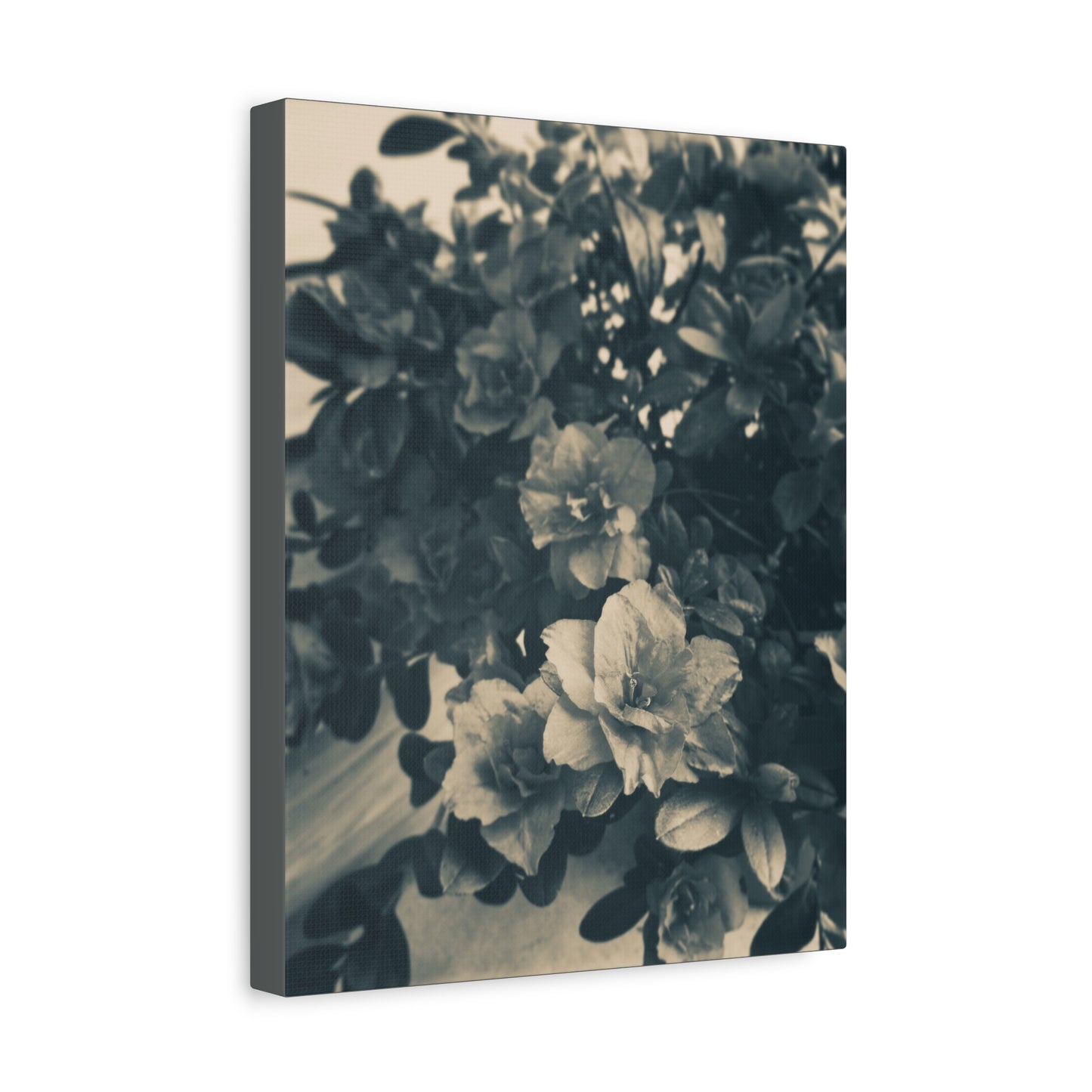 Black & White Floral Matte Canvas Art - Stretched Wall Decor