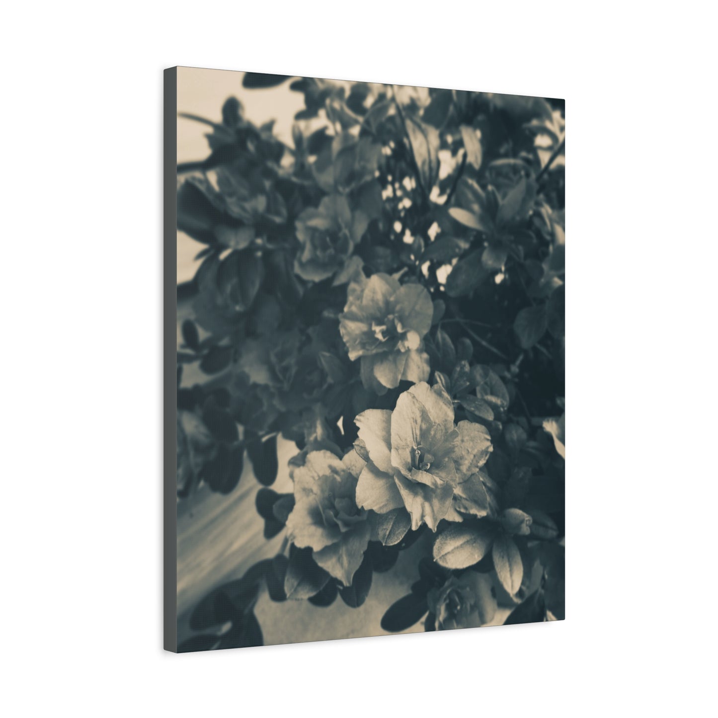 Black & White Floral Matte Canvas Art - Stretched Wall Decor