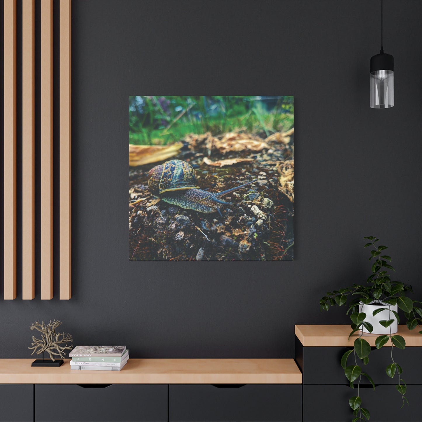 Snail Expedition- Canvas Art - 1.25" Stretched Matte Wall Decor