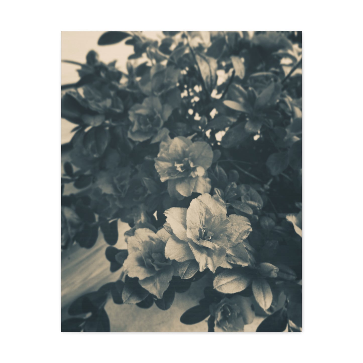 Black & White Floral Matte Canvas Art - Stretched Wall Decor
