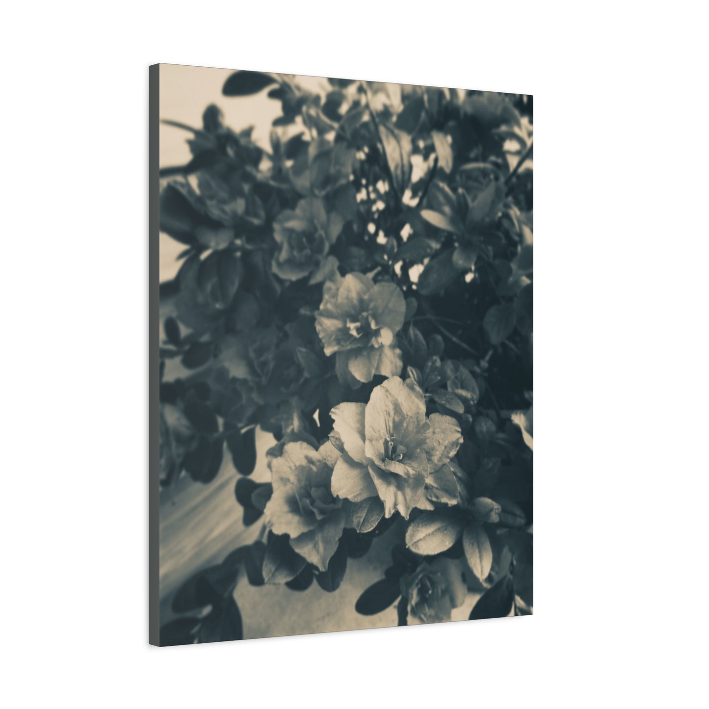 Black & White Floral Matte Canvas Art - Stretched Wall Decor