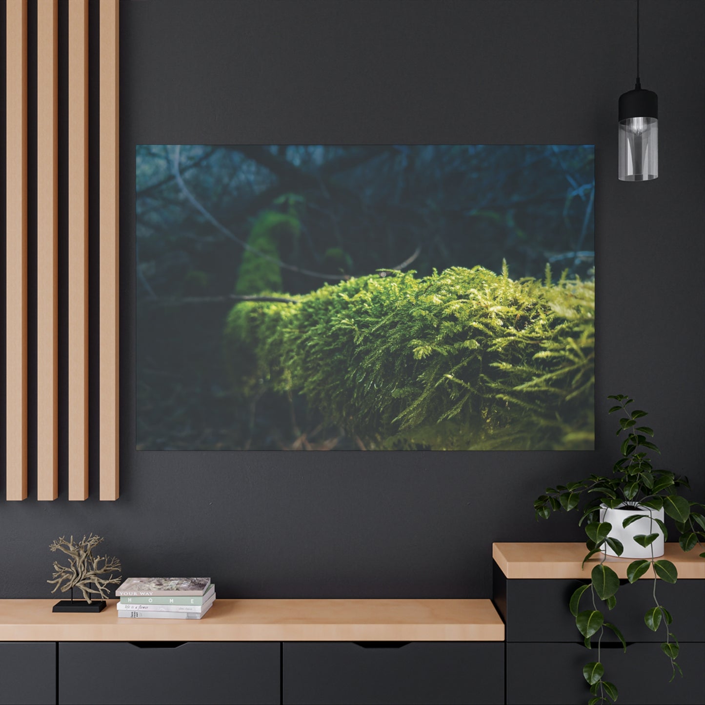 Mossy Tree, Oxbow Park, OR- Canvas Print - Stretched 1.25" Artwork for Nature Lovers